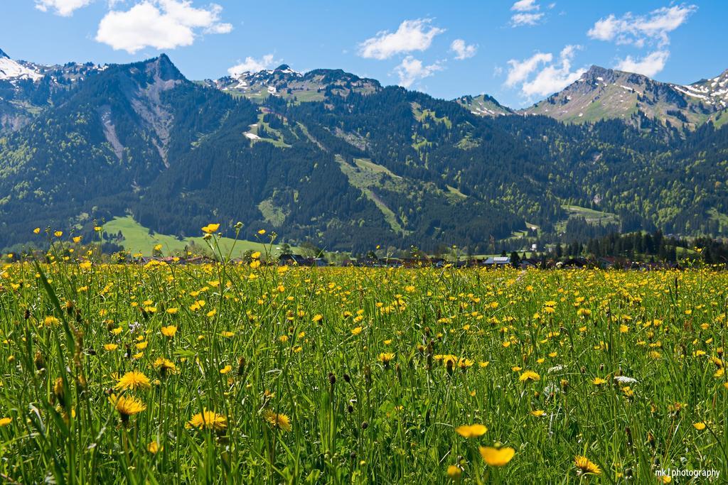Burgchalet Reutte Bilik gambar